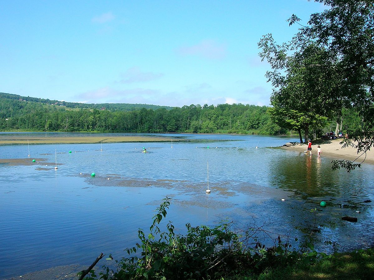 Draft Milfoil Permit Posted & Comment Period Open Lake Iroquois