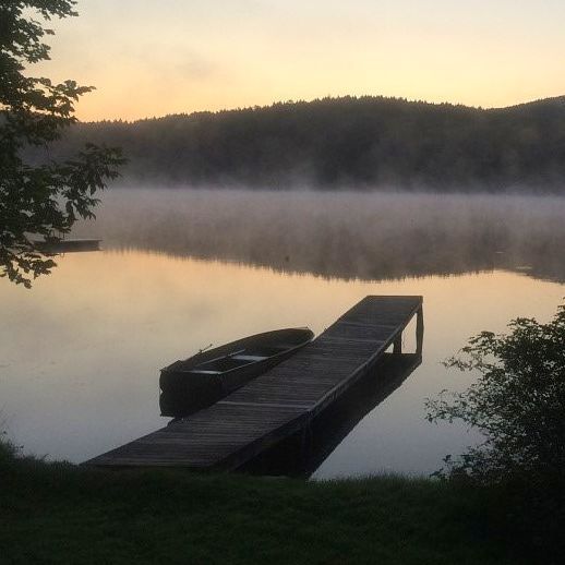 LIA Response on Milfoil Situation Lake Iroquois Association