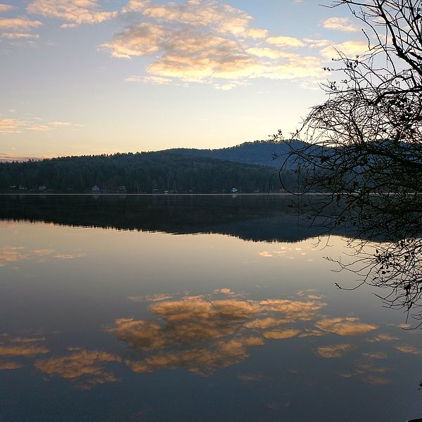 Lake with light reflections