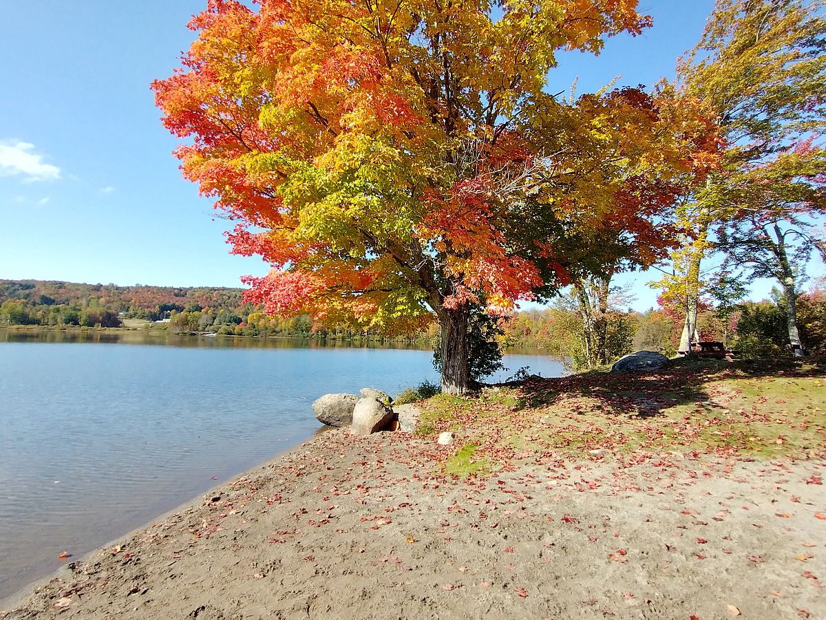 Read All About It! Lake Iroquois Association
