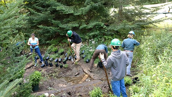 Watershed partners unite to develop Watershed Action Plan for Lake Iroquois