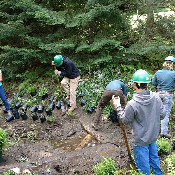 Watershed partners unite to develop Watershed Action Plan for Lake Iroquois